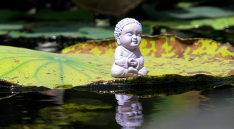 Phật dạy: Phạm điều này là gây nghiệp nặng nhất, mấy đời trả chẳng hết
