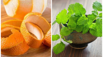4 bí quyết đuổi muỗi tự nhiên an toàn, không cần dùng hóa chất