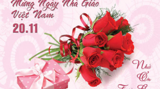 Lời chúc 20/11 hay và ý nghĩa nhất gửi đến các thầy cô nhân ngày Nhà giáo Việt Nam
