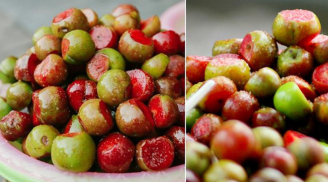 Mận Mộc Châu trái mùa giá đắt ngang thịt lợn nhưng vẫn 'cháy hàng'
