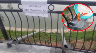 Lắp 'cầu trượt' thả cả vàng tiễn ông Công ông Táo, người dân hào hứng xếp hàng chờ tới lượt