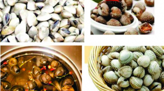 Mẹo giúp làm sạch cát bẩn trong ngao, sò, ốc giúp món ăn thêm hoàn hảo