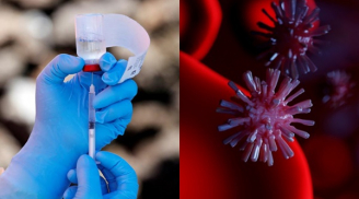 Anh phát hiện kháng thể có khả năng vô hiệu hóa virus corona