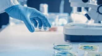 Phát hiện loại thuốc trị giun có thể tiêu diệt virus SARS-CoV-2 trong vòng 48 giờ