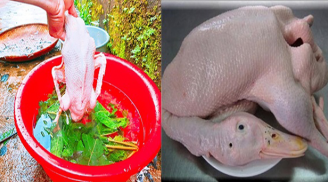 Những bộ phận của con vịt không được giữ lại, mới có thể khử sạch mùi hôi hiệu quả