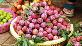 Người có 1 trong 8 dấu hiệu dưới đây tuyệt đối không nên ăn mận kẻo 'rước bệnh vào thân'