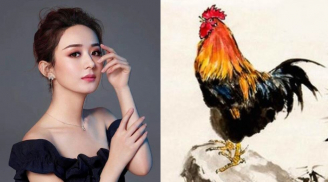 Bộ 3 con giáp mang tiếng kiêu - chảnh - lạnh lùng nhưng nội tâm mong manh, dễ vỡ