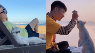 Boss mèo khiến cả thế giới ghen tị vì được trai đẹp 'nắm tay đi khắp thế gian'