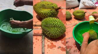 Người bán sầu riêng tiết lộ 'không nhúng thuốc không dám bán': Làm cách nào để chọn được 'sầu riêng sạch'?