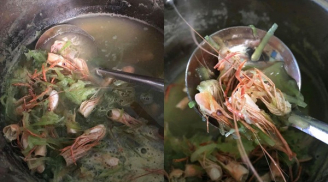 Trổ tài nấu canh cho vợ mới sinh, ông chồng khiến hội mẹ bỉm sữa phải 'la ó'