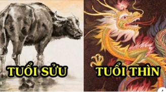 Tử vi thứ 3 ngày 23/6/2020 của 12 con giáp: Sửu có một ngày may mắn; Thìn và người ấy xảy ra mâu thuẫn