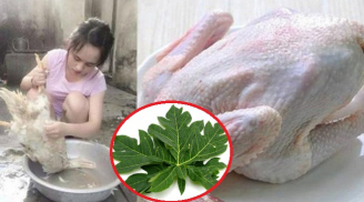Mua thịt vịt cần thêm nắm lá này: Làm 10 phút là hết sạch lông măng