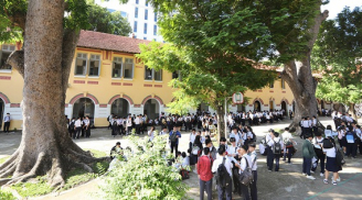 Nhà trường 'sốc' khi biết chi phí chặt tỉa cây xanh hơn 237 triệu đồng