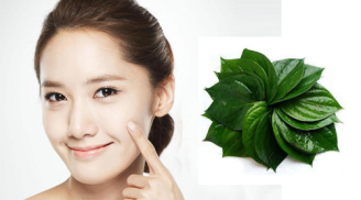 Kiên trì thoa nước cốt lá lốt lên vùng da thâm nám trong vòng 1 tháng, bạn sẽ nhận được kết quả bất ngờ
