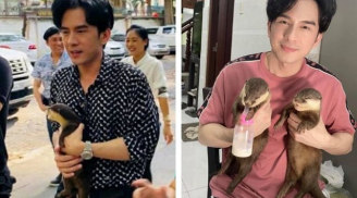 Đan Trường tặng lại 2 chú rái cá cho sở thú vì muốn “các con” được sống trong môi trường tự nhiên