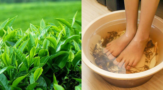 Vo nát lá chè xanh, đun sôi 'thổi bay' mùi hôi chân khó chịu