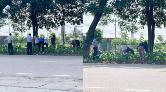 Chờ con làm bài thi, hội phụ huynh lom khom bên bụi cỏ như tìm vật gì, sự thật mới té ngửa