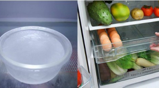 Đặt thứ này vào tủ lạnh, điều kỳ lạ xảy ra với hóa đơn tiền điện, khiến ai cũng mừng vui ra mặt