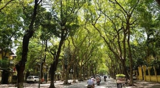 Thời tiết ngày 3/9: Tiếp tục oi nóng ở Bắc Bộ và Trung Bộ