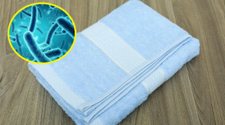 10 vật dụng quen thuộc bẩn hơn bồn cầu, ai cũng chạm vài lần một ngày