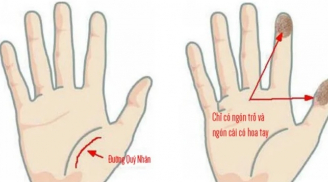 Cầm bàn tay người bạn đời, nhìn thấy dấu hiệu này chứng tỏ đó là người có quý nhân phù trợ
