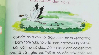 Liên tiếp phát hiện 'sạn' trong nội dung của SGK lớp 1 gây tranh cãi