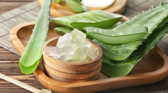 Nha đam cực tốt nhưng dùng sai cách sẽ gây ngộ độc, chớ dại làm theo