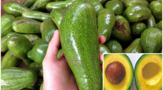 Lướt qua 5 giây biết ngay bơ ngon cực phẩm không bị sượng, đắng, không hóa chất bảo quản