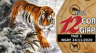 Tử vi thứ Ba ngày 24/11/2020 của 12 con giáp: Thân không nên nóng vội, Hợi 'nằm duỗi mà ăn'