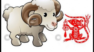 Tử vi thứ Sáu ngày 27/11/2020 của 12 con giáp: Tý tiền bạc dồi dào, Mùi trục trặc trong chuyện tình cảm