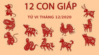 Tử vi tháng 12/2020 của 12 con giáp: Cuộc sống của Thìn có nhiều biến động, Ngọ cần khiêm tốn hơn