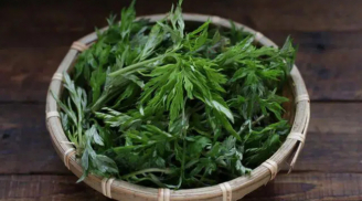 Loại lá đắng ngắt nhiều người chê hóa ra là 'thảo dược quý', giúp phụ nữ trị dứt điểm 5 bệnh