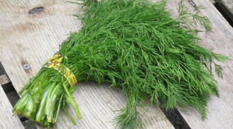 5 thực phẩm giúp sữa mẹ đặc thơm, con tăng cân nhanh chóng