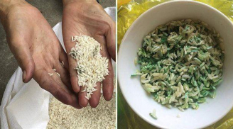 Gạo có dấu hiệu này không nên ăn kẻo hại gan
