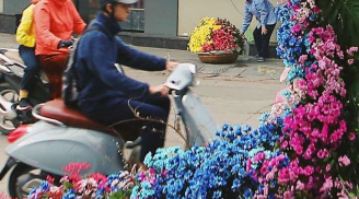 Hàng trăm cột đèn tại Hà Nội 'nở hoa' ngày 8/3, dân mạng đùa rằng: 'Giờ mới biết cột đèn... giới tính nữ'