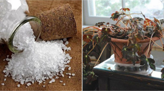 Ngủ dậy thấy có 5 dấu hiệu này, cẩn thận kẻo tai họa sắp ập đến, hung tinh gõ cửa trốn đâu cho thoát