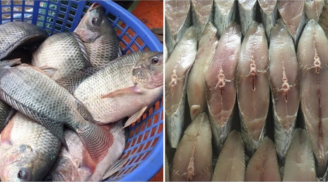 6 loại cá chứa thủy ngân và chất độc cao nhất, cả nhà có thích ăn mấy cũng nên hạn chế
