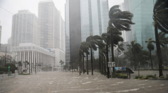 Kinh hãi cảnh cao ốc rung động, nước biển nhấn chìm đường phố trong siêu bão Irma