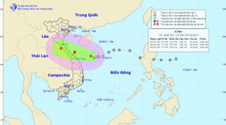 Ban Chỉ đạo Trung ương họp khẩn ứng phó áp thấp nhiệt đới đang có khả năng mạnh lên thành bão