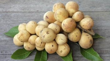 Muốn chọn bòn bon ngon, không hóa chất, chị em nhất định phải biết 1 điều