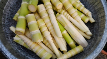 Cách chọn măng tươi ngon, không ngâm hóa chất