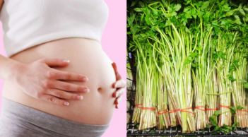 Bà bầu ăn rau cần được không?