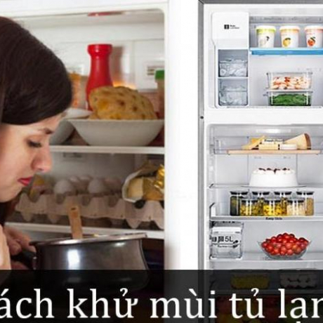 Cho một nhúm trà vào tủ lạnh, mùi hôi đến mấy cũng bay biến