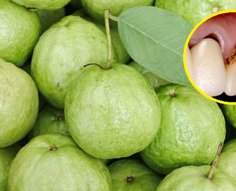 Người phụ nữ suýt rụng cả hàm răng vì thói quen ăn ổi tai hại: Cảnh báo 4 thực phẩm 'tàn phá' răng