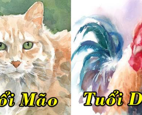 Tuổi xung khắc với 12 con giáp trong năm Tân Sửu, gặp nhau làm gì cũng xui xẻo, thất bát