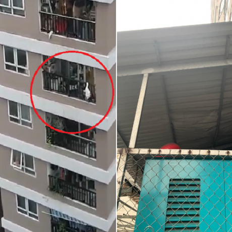 Bé gái 2 tuổi rơi từ tầng 13 chung cư thoát chết: Hé lộ danh tính 'người anh hùng' cứu bé