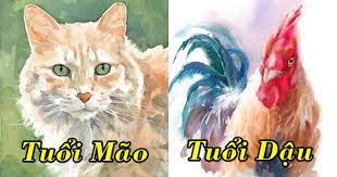 Tử vi thứ Hai ngày 19/7/2021 của 12 con giáp: Mão nhớ cân đối chi tiêu, Dậu chuyện tình cảm khởi sắc - Vimarsana News