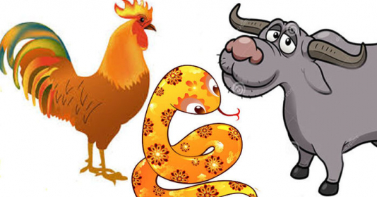Tử vi thứ Ba ngày 27/7/2021 của 12 con giáp: Sửu tình hình tài chính khởi sắc, Tỵ nên quan tâm đối phương - Vimarsana News