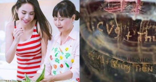 Gia đình Thủy Tiên gây tranh cãi với hành động khắc tên cả nhà lên mai rùa để phóng sinh - Vimarsana News