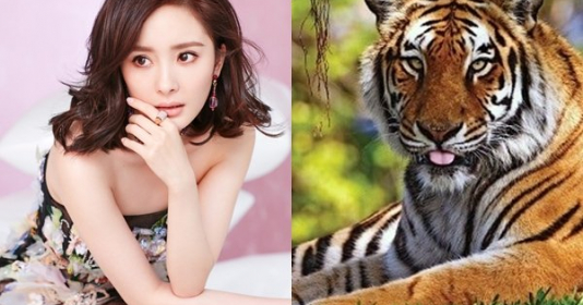 Tháng 8/2021: 3 con giáp thận trọng vận xui đeo bám, Hung tinh chiếu mệnh không nên làm ăn lớn - Vimarsana News